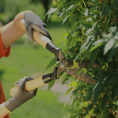 Spring Workday — April 18